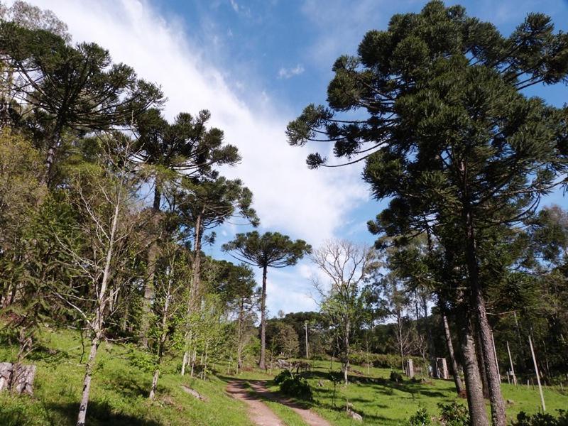 Casarao Da Cascata Villa Gramado Buitenkant foto
