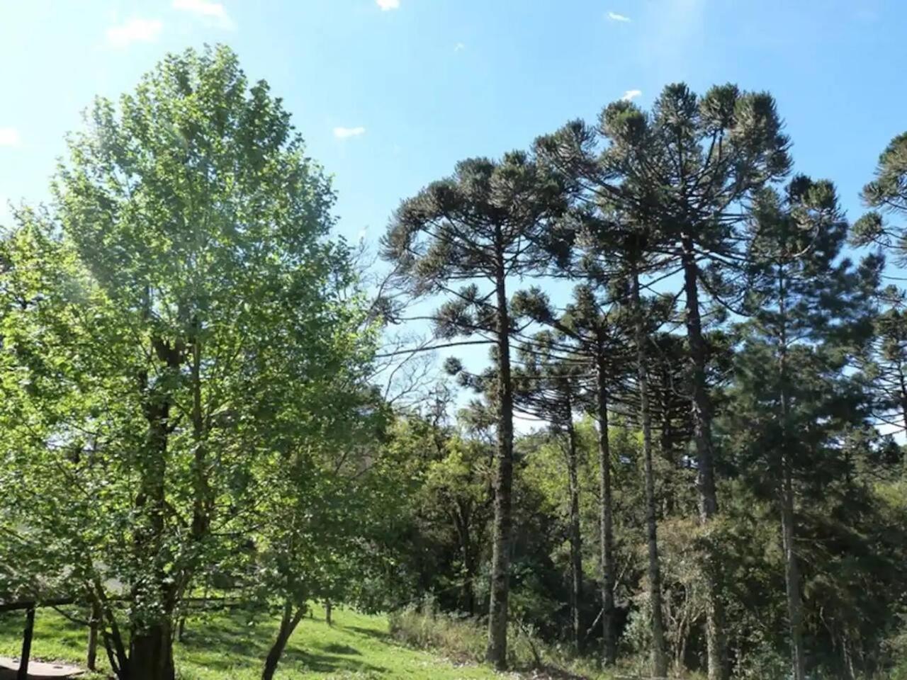 Casarao Da Cascata Villa Gramado Buitenkant foto
