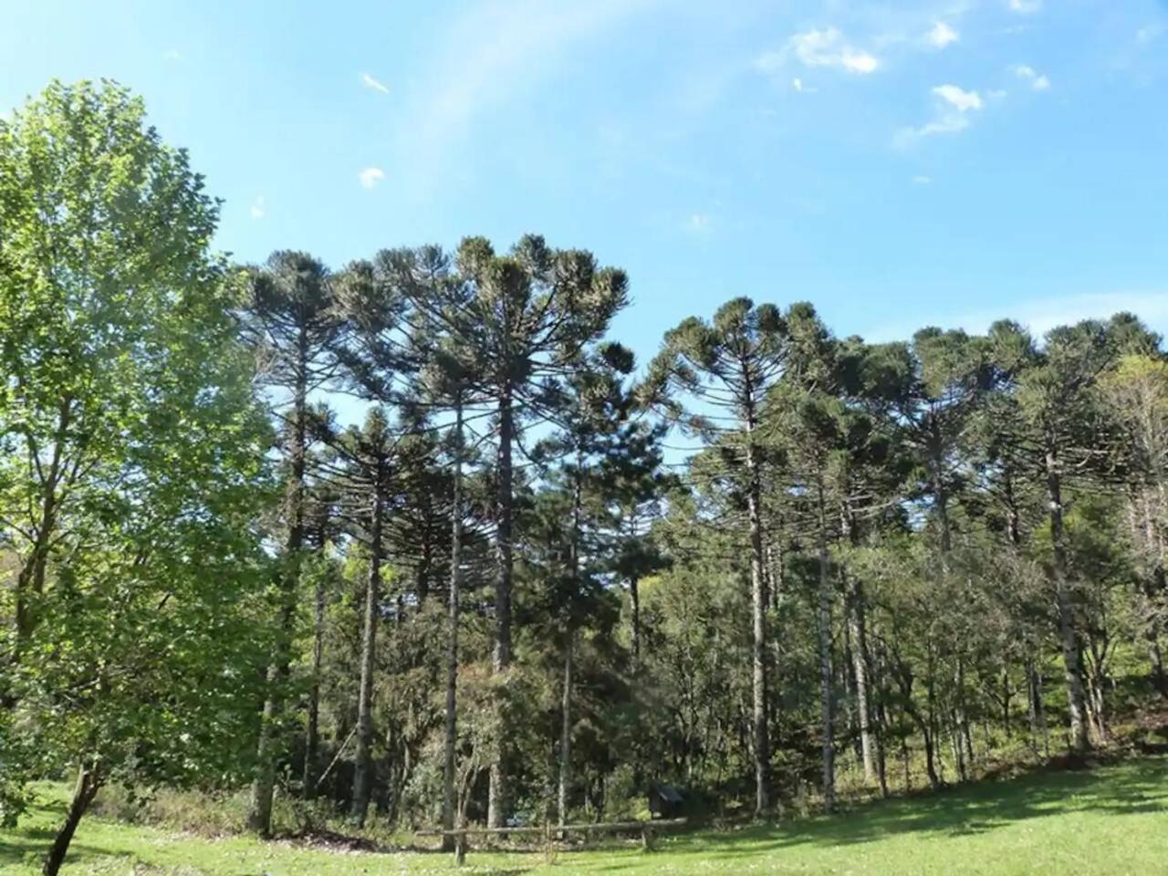 Casarao Da Cascata Villa Gramado Buitenkant foto